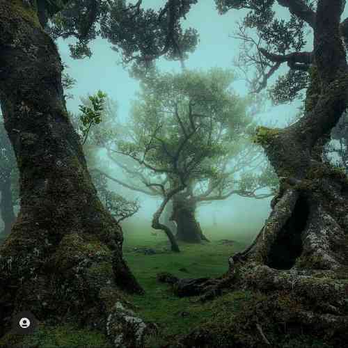محمود سهیلی خوش به حالت تکه سنگ که نداری دل تنگ